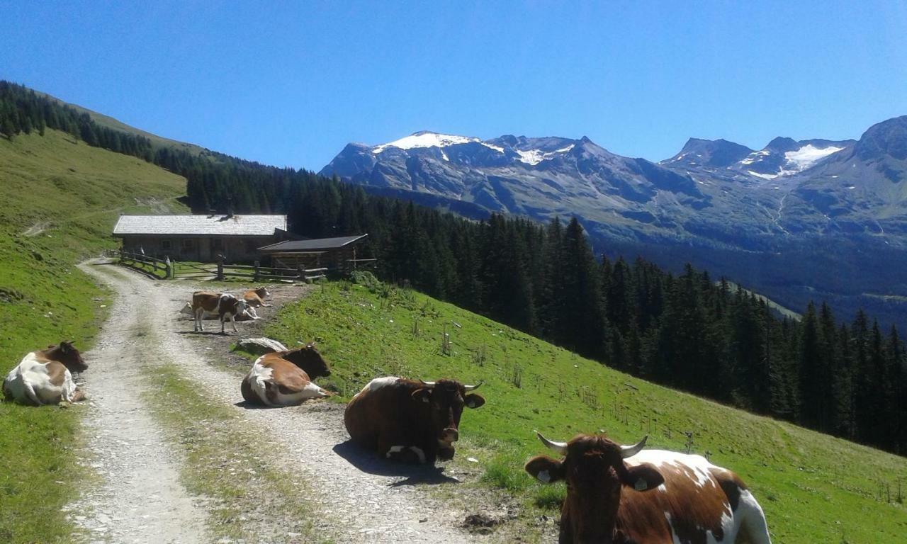 Fruehstuecks- Pension Sonnblickhof Rauris Zewnętrze zdjęcie