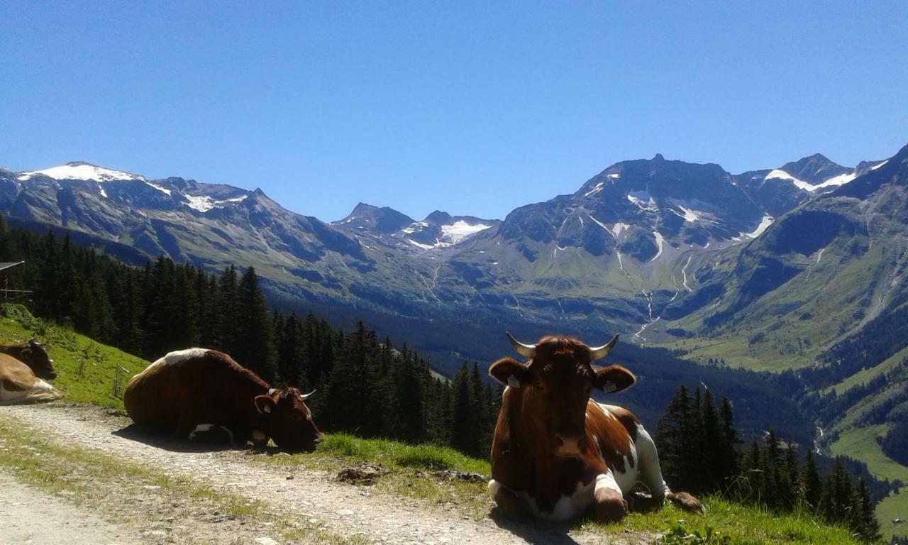 Fruehstuecks- Pension Sonnblickhof Rauris Zewnętrze zdjęcie